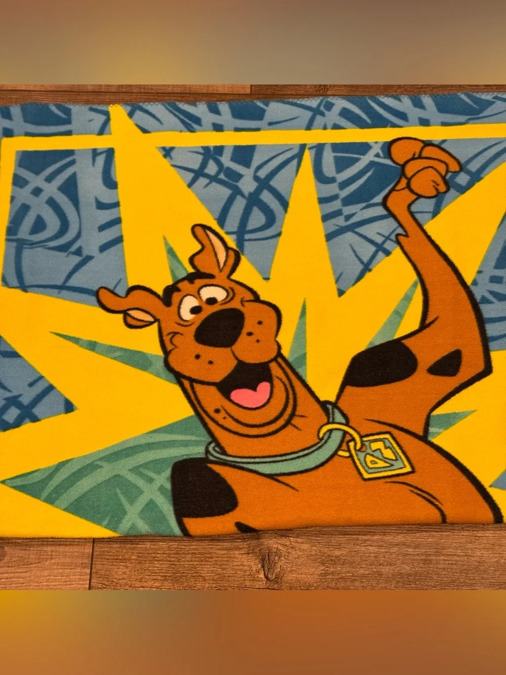 Scooby-Doo Fleece Throw Blanket Cartoon Network 45